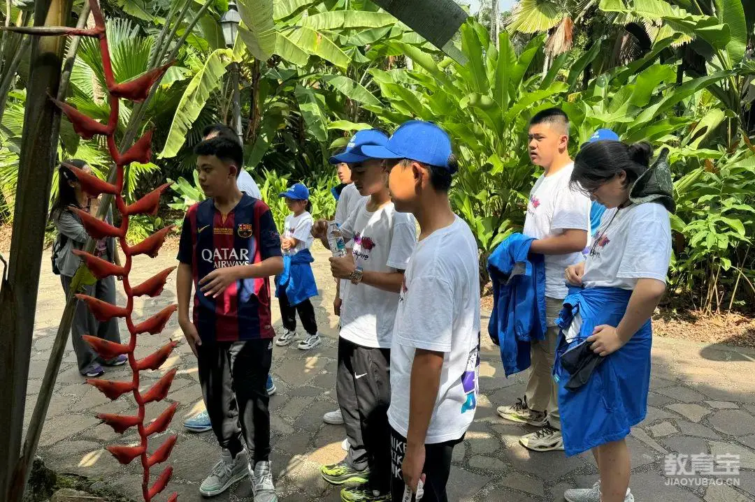 如何通过力量训练改善篮球运动员的速度和敏捷性?_0